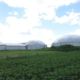 Two digesters installed by DLS Biogas