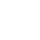 DLS Biogas logo